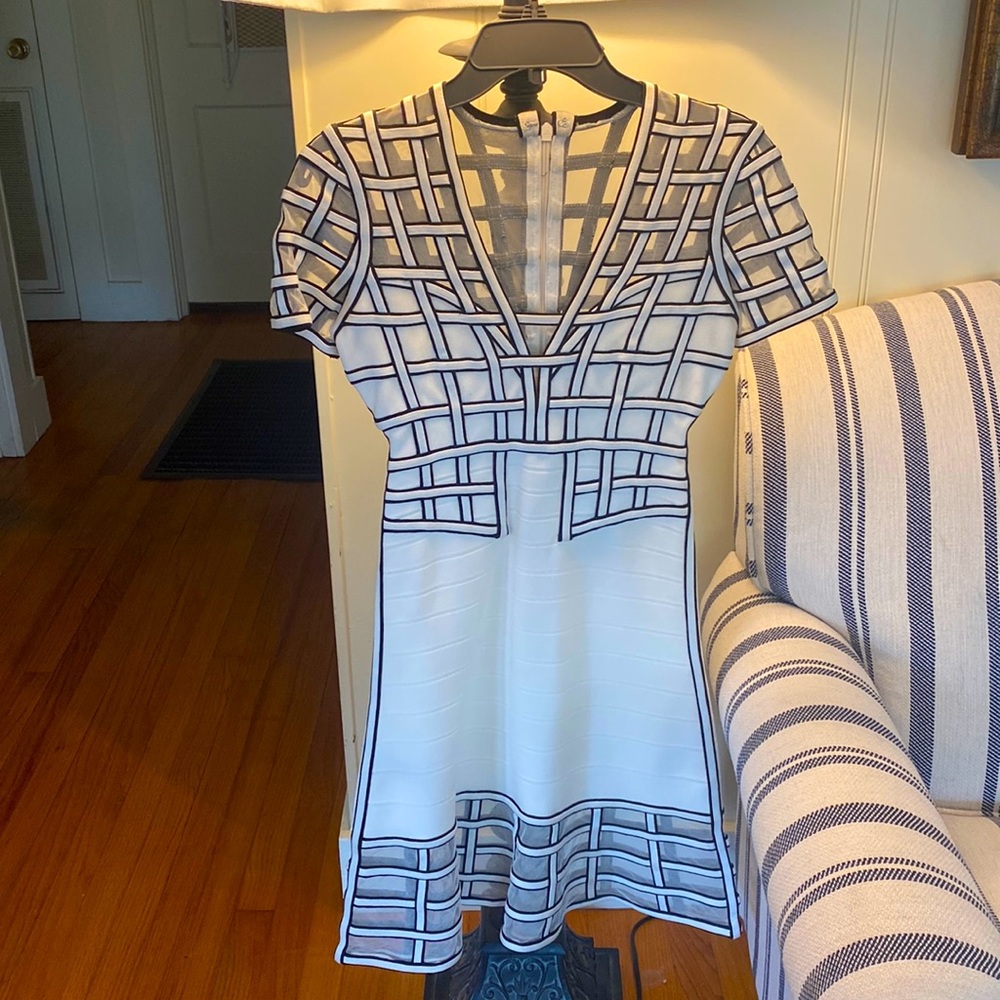 Herve Leger Albastco Tamera Dress